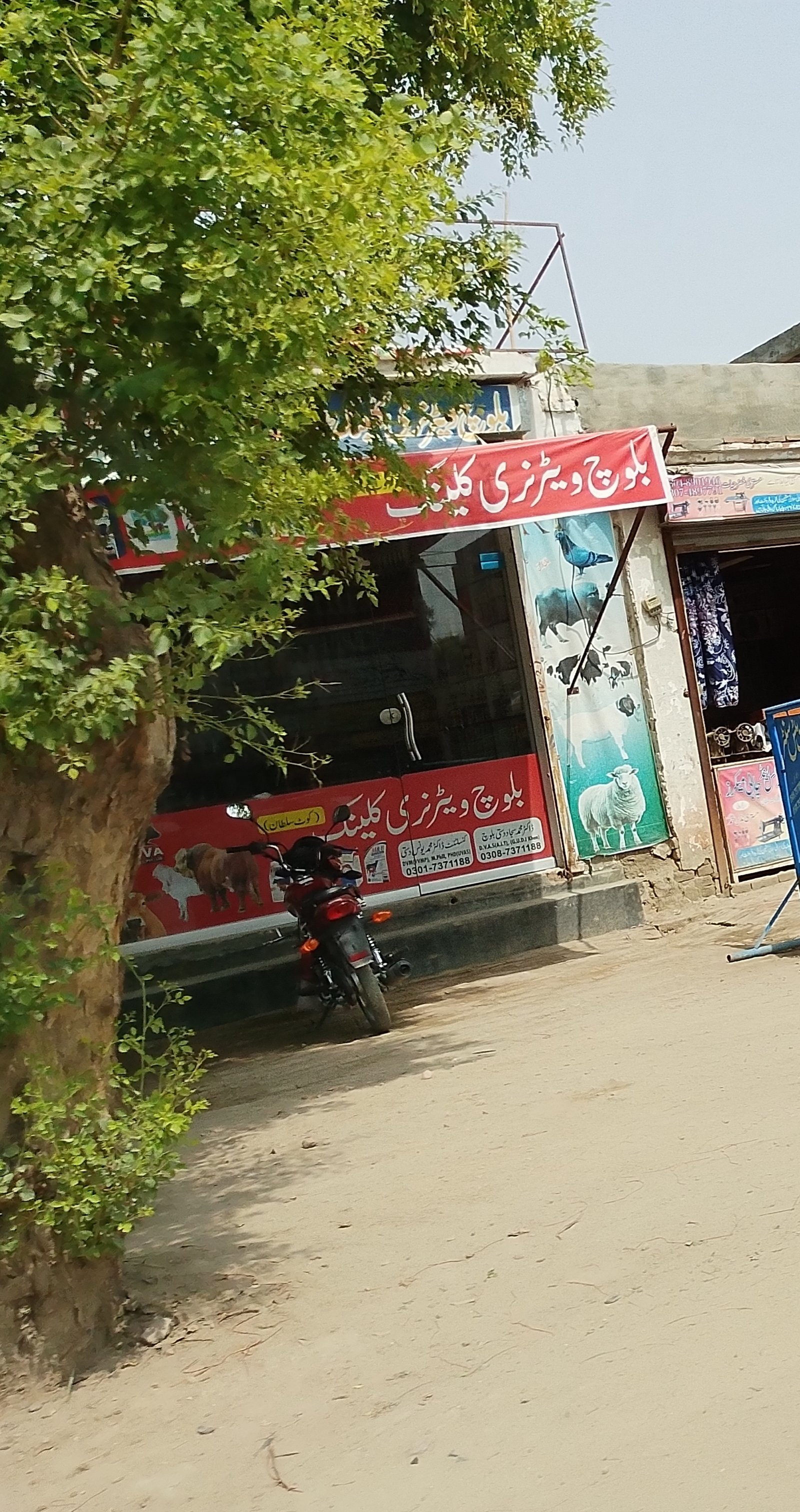 Baloch wartarni clinic in kot sultan