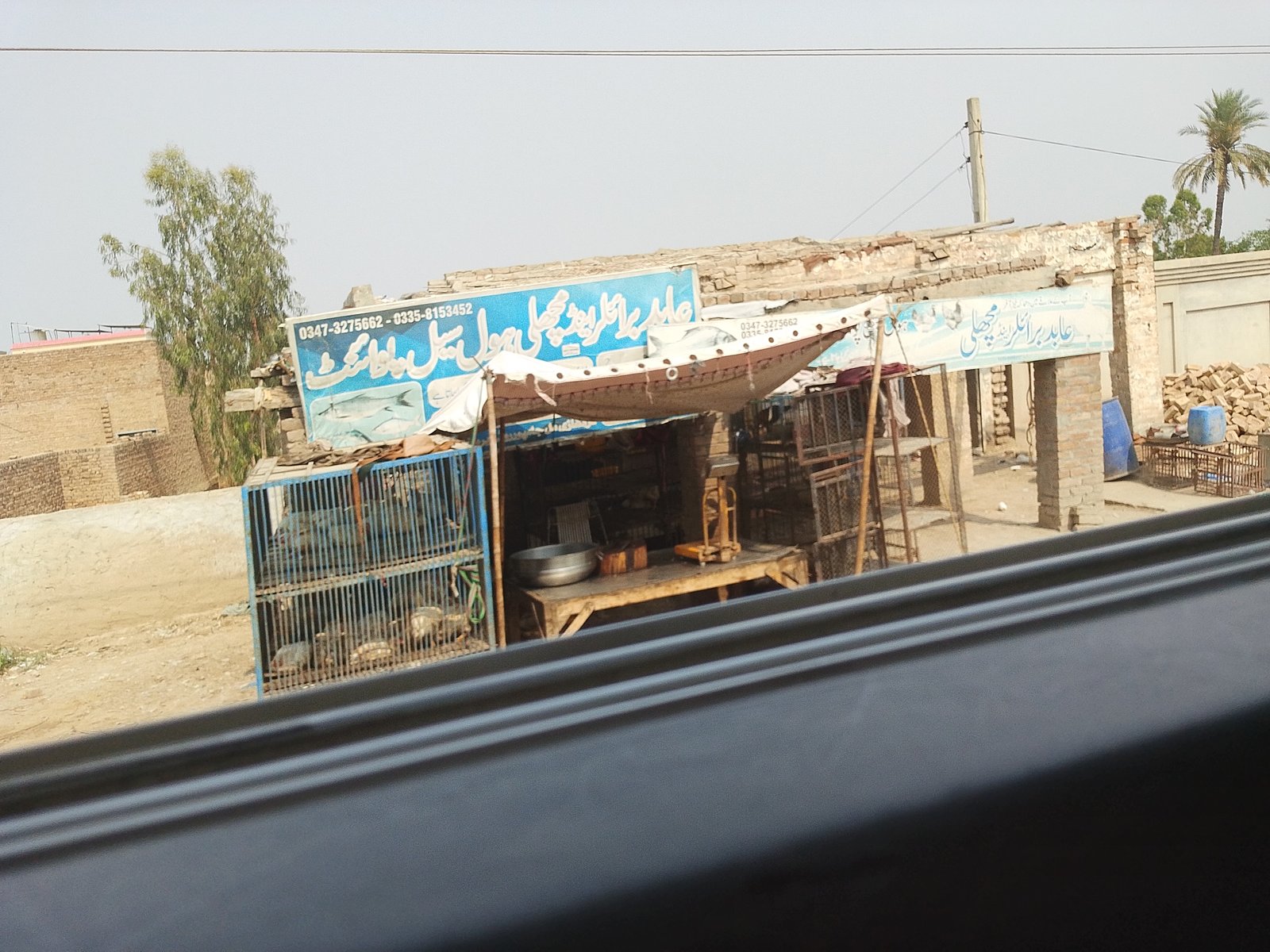 Abaid fish hole sale point in paiga city